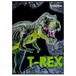 2X ZESZYT W KRATKĘ A5 16k RAKIETA T-REX BAMBINO
