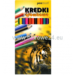 Kredki ołówkowe 12 kolorów Penword